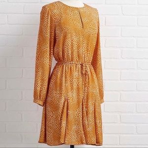 "Golden Glow" Dot Print Dress